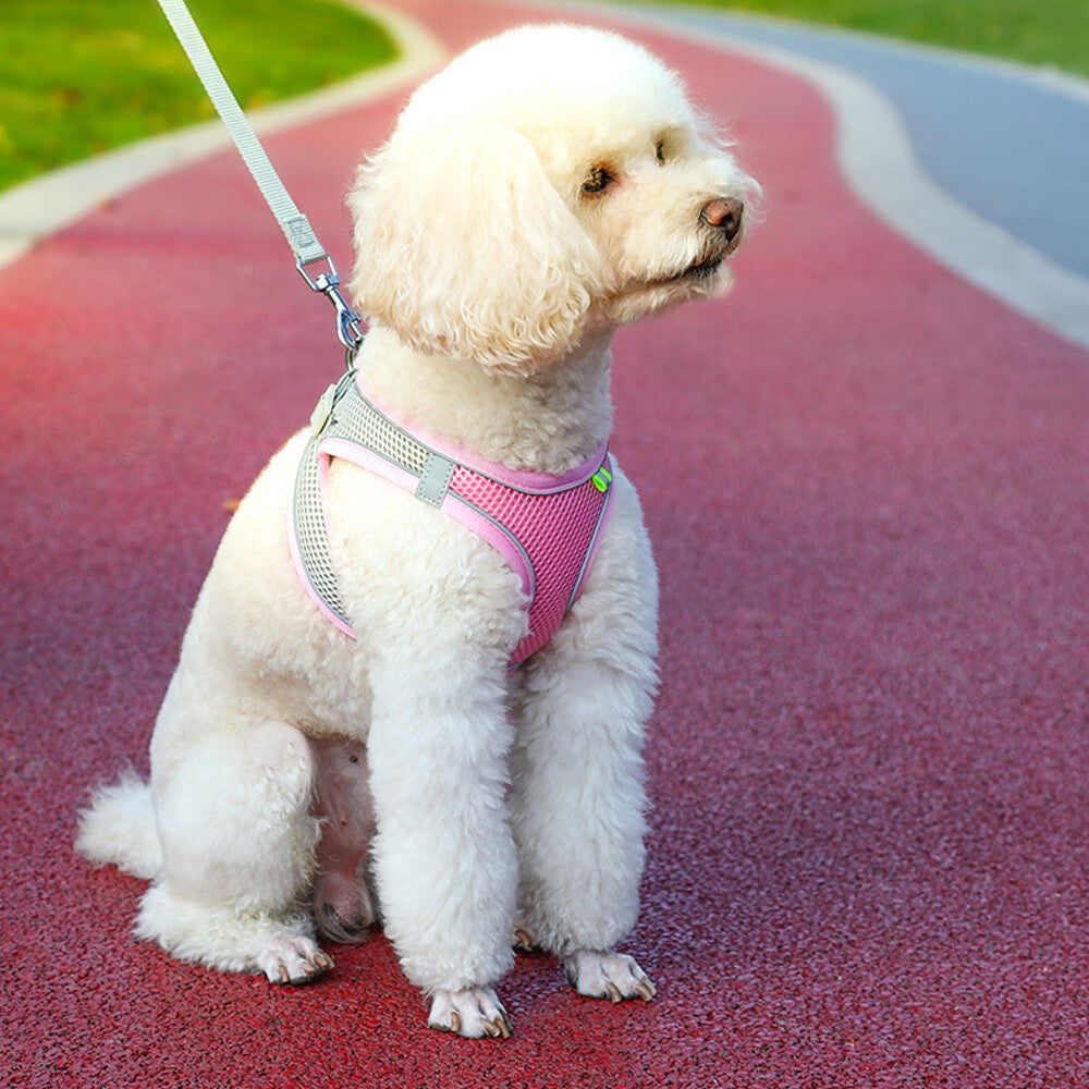 Dog Harness Leash Set Adjustable Puppy Cat Harness Vest Outdoor For Small Dogs