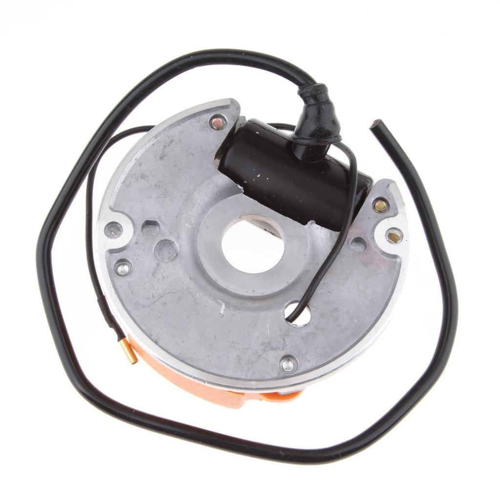 New Universal Electronic Ignition Assmebly 070 090 090G