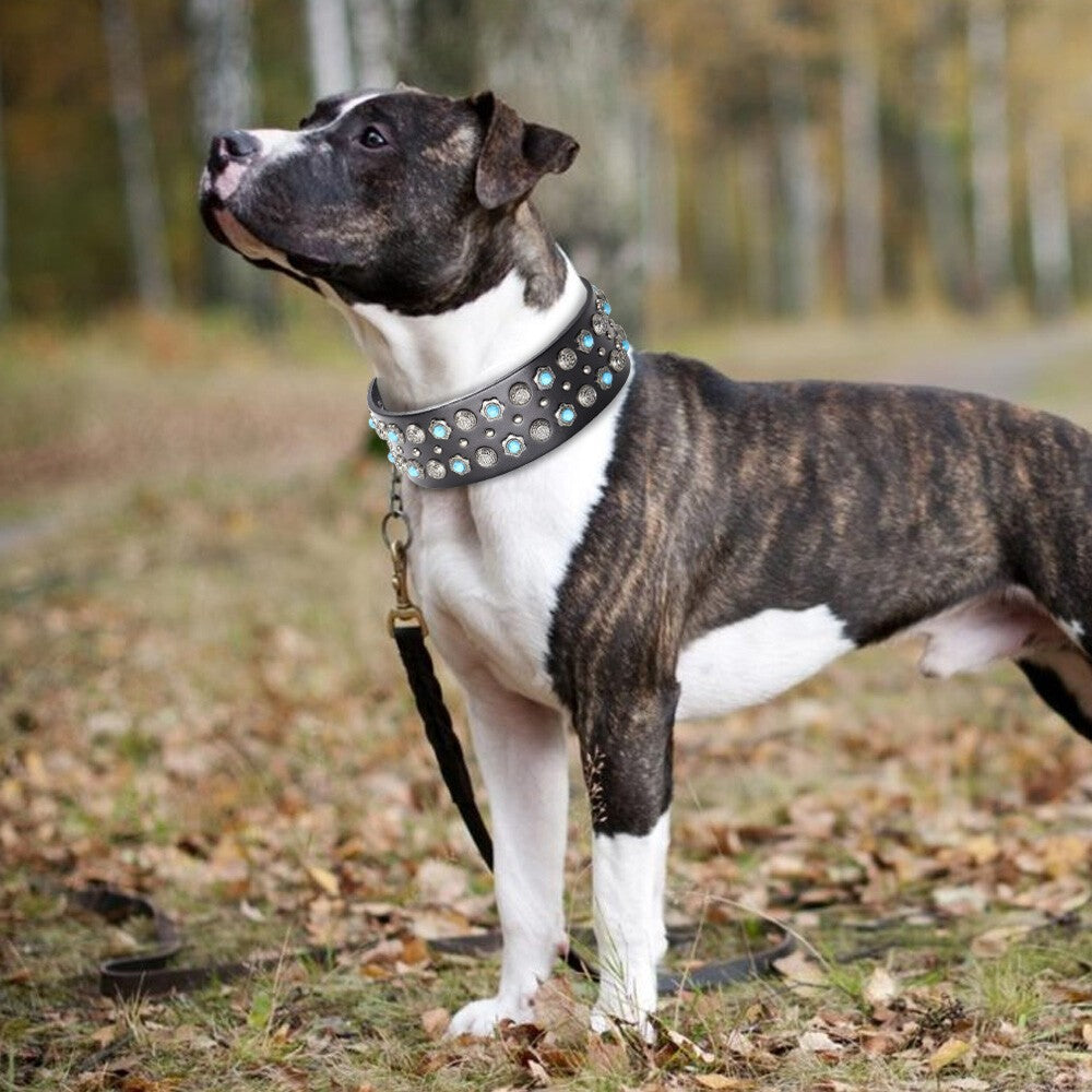 STUDDED DOG COLLAR STRONG BIG DOG COLLARS STAFFY PITBULL HEAVY DUTY L/XL