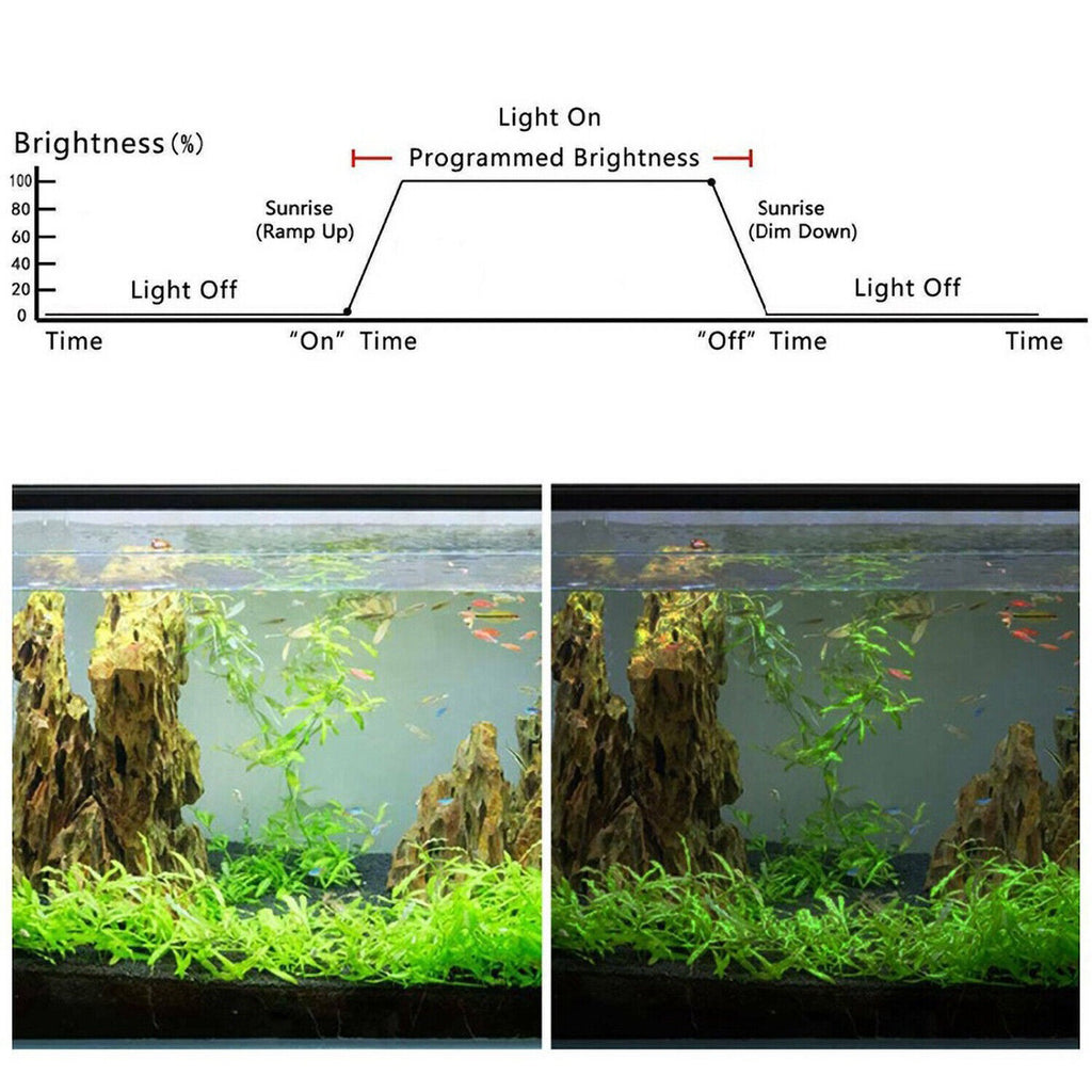 Aquarium Light Timer Controller LED Dimmer Modulator Fish Tank Dimming Control