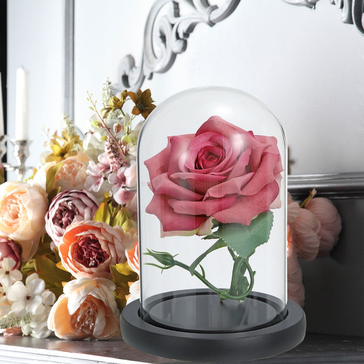 Clear Cloche Glass Dome Glass Bell Jar Display with Wooden Base