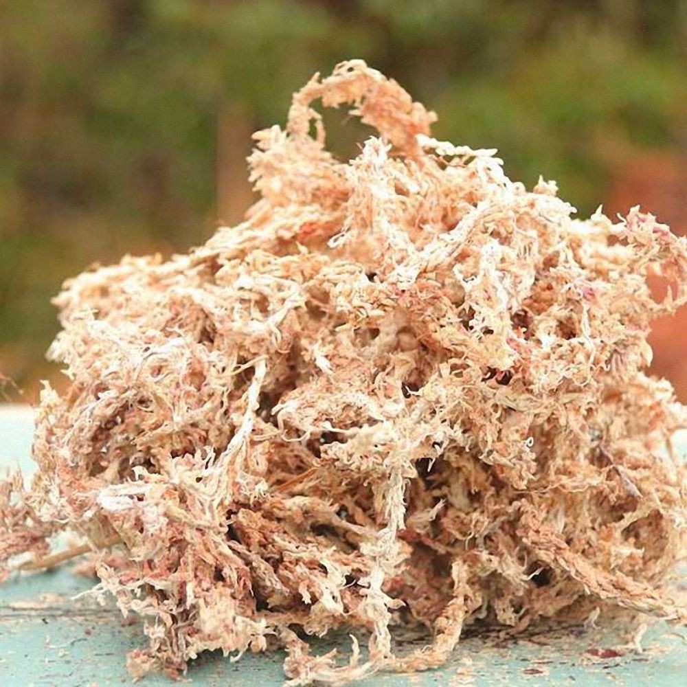 2X6L Dried Sphagnum Moss Potted PlantOrganic Nutrition Fertilizer Moisturizing