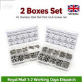 2set  A2 Cone Point Grub Screws M3 M4 M5 M6 M8 Hex Socket Set Screw Box Set