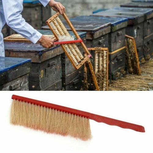 10 Pcs Beekeeping Tool Kit Beekeeping Equipment Beehive Tool !