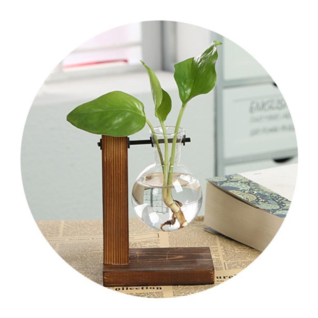 Vase with Retro Wooden Stand Propagation for s Office Desk