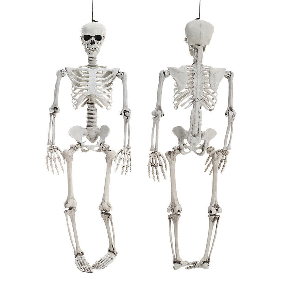 90cm Poseable Full Life Size Human Skeleton Prop Halloween Party Decoration