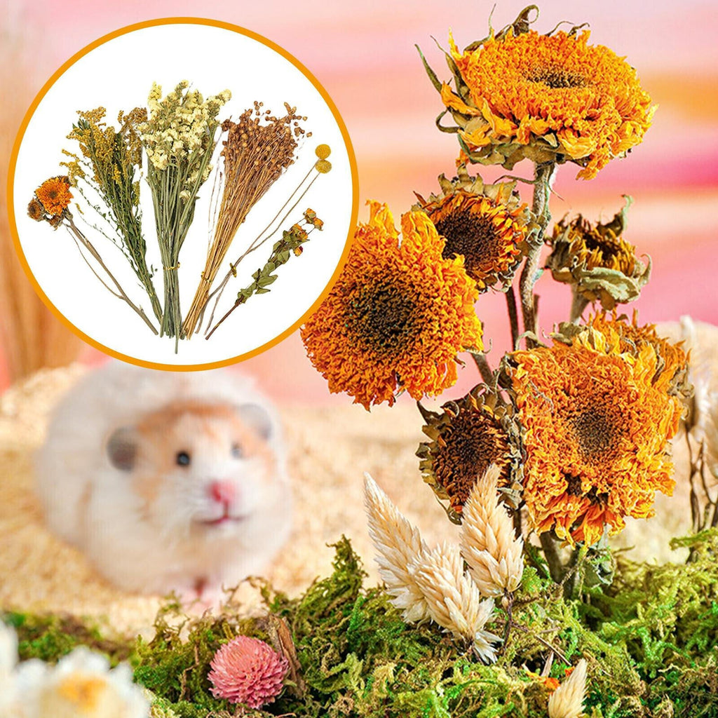 Natural Hamster Bedding Edible Flowers Herbs Sprays for Edible Grain NEW
