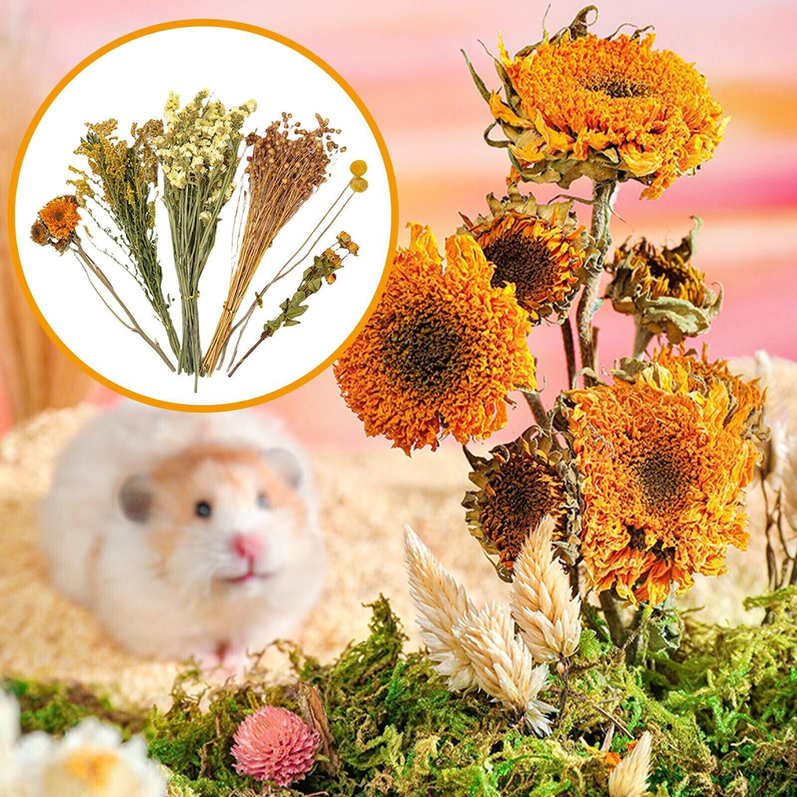 Natural Hamster Bedding Edible Flowers Herbs Sprays for Edible Grain NEW