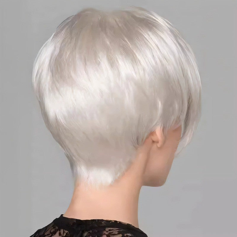 Stylish Silver-white Side-parted Long-bang Short Straight Wig for Ladies