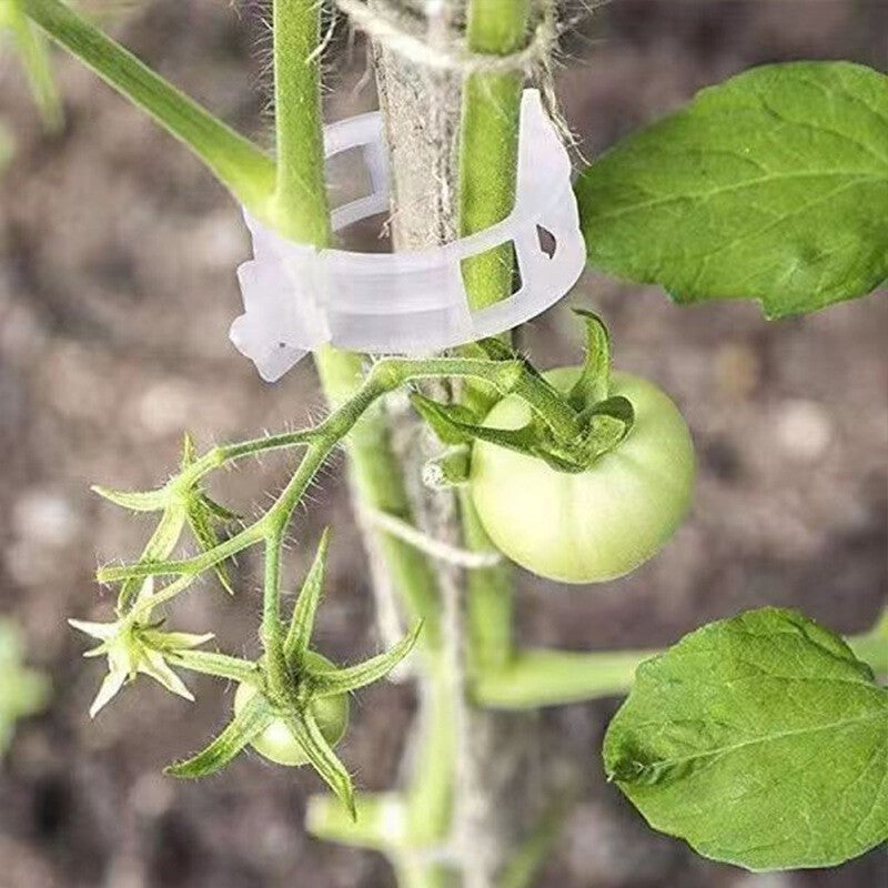 Garden Tools Plant Support Clips Ties Veggie Trellis Stake Greenhouse Tomato UK
