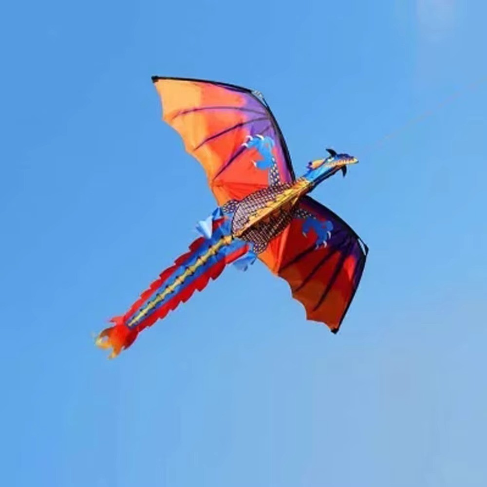 Pterosaur 3D Dragon Kite Good Flying Outdoor Flying Kite  Kid & Adult