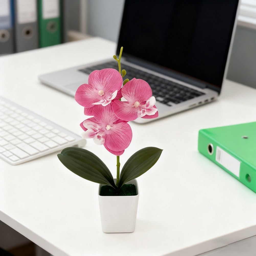 Artificial Phalaenopsis Orchid 5.5cm Wide 25cm Tall Plastic Potted Flower