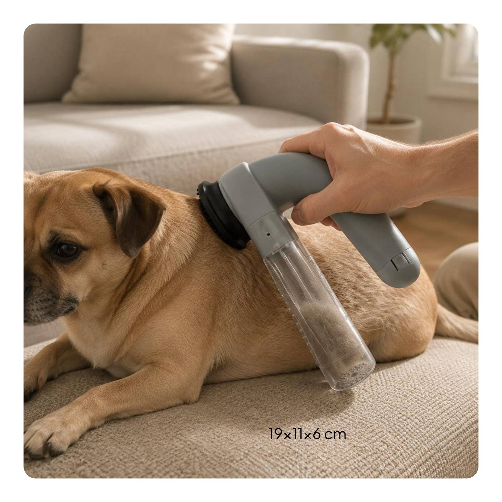 Pet Grooming Vacuum Easy to Clean Cordless Pet Grooming Vacuum Rechargeable