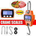 Mini 300kg Electronic Crane Scale LCD Display Portable Hook Hanging Weight Scale