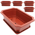 5 Sets of Bonsai Pot Large Size Flowerpot Bonsai Cultivation Pot with Tray H