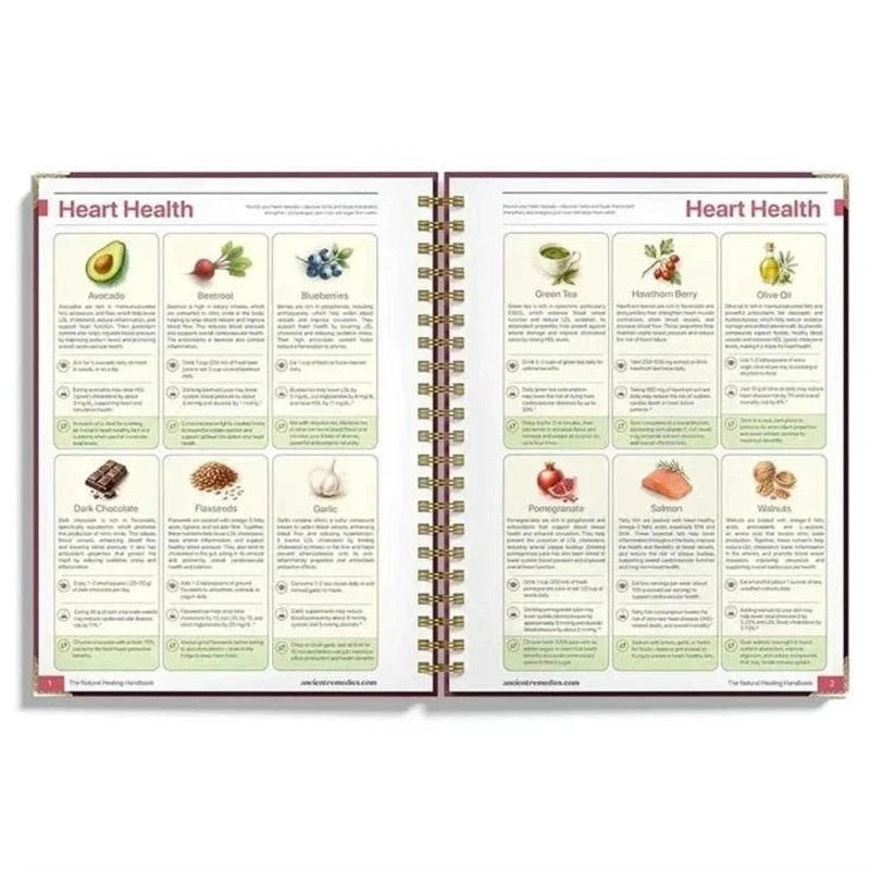 The Natural Healing Handbook, Spiral-Bound Guide for Herbal Remedies and Natural
