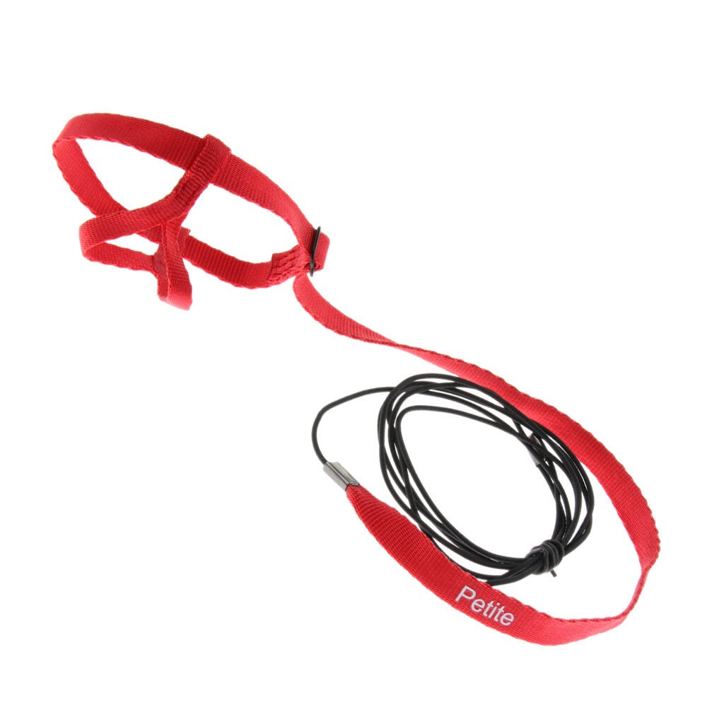 Adjustable Harness Leash for Parrot African Grey Cockatoo Macaw Ringneck