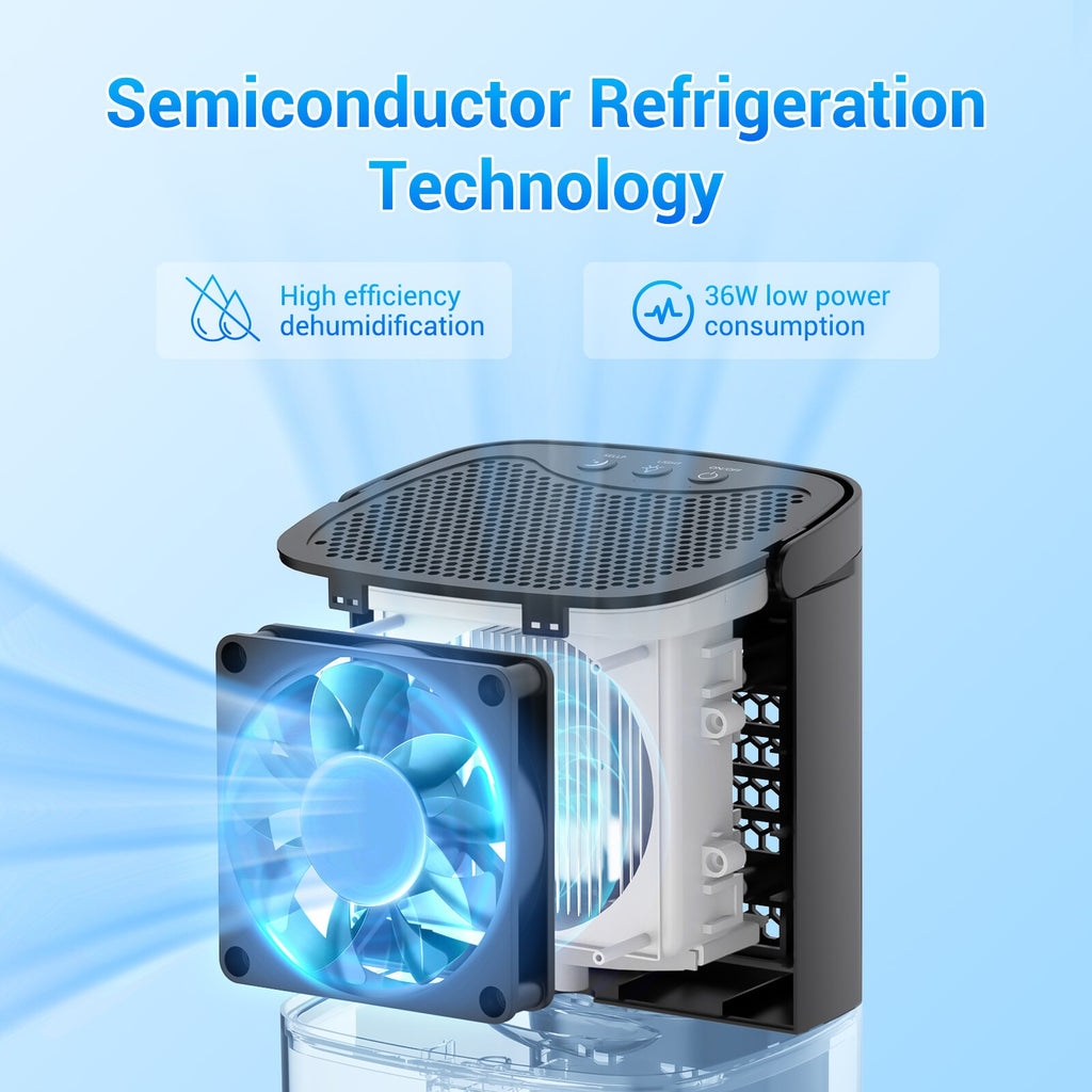 Air Dehumidifier 1000ml Home Portable Air Dehumidifier for Damp Mould Moisture