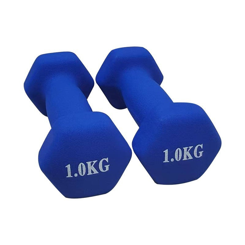 Pair 1kg 2kg 3kg Dumbbell Fitness Hand Weights Set for Women Home Gym Workout UK