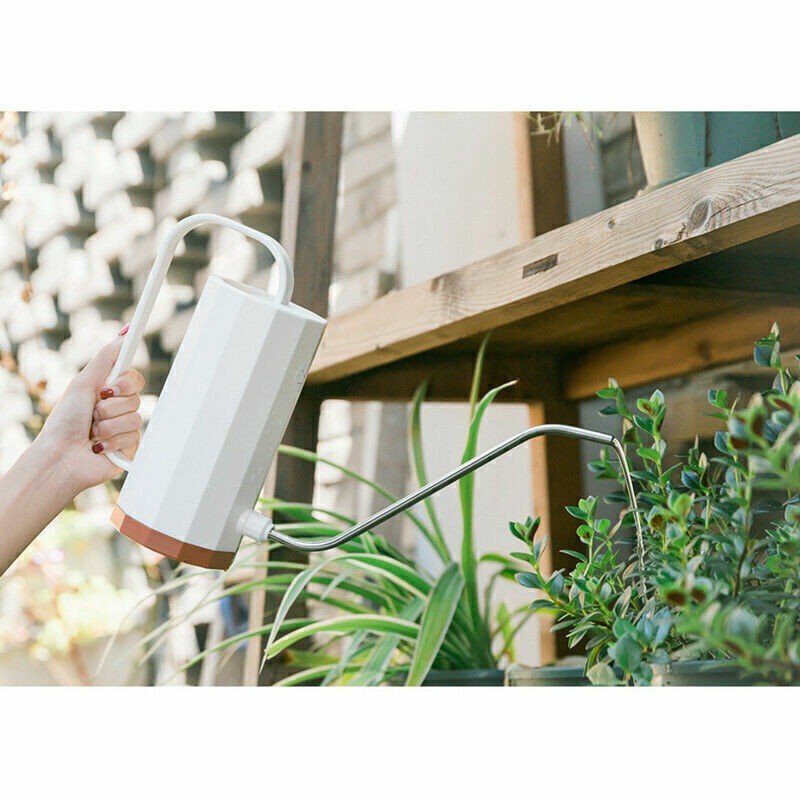 Indoor Small Watering Can Long Narrow Spout Sprinkler Kettle For Plants 1.2L UK