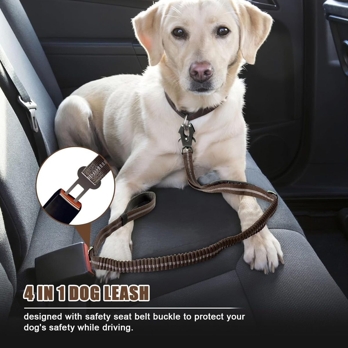 Heavy Duty Dog lead Leash 4-6FT No Pull Bungee Dog Leash with Quick Release