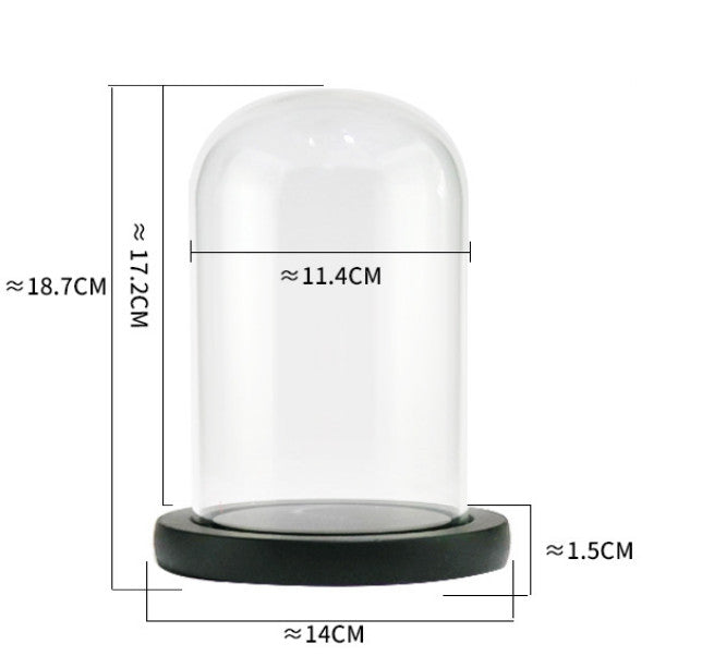 Clear Cloche Glass Dome Glass Bell Jar Display with Wooden Base