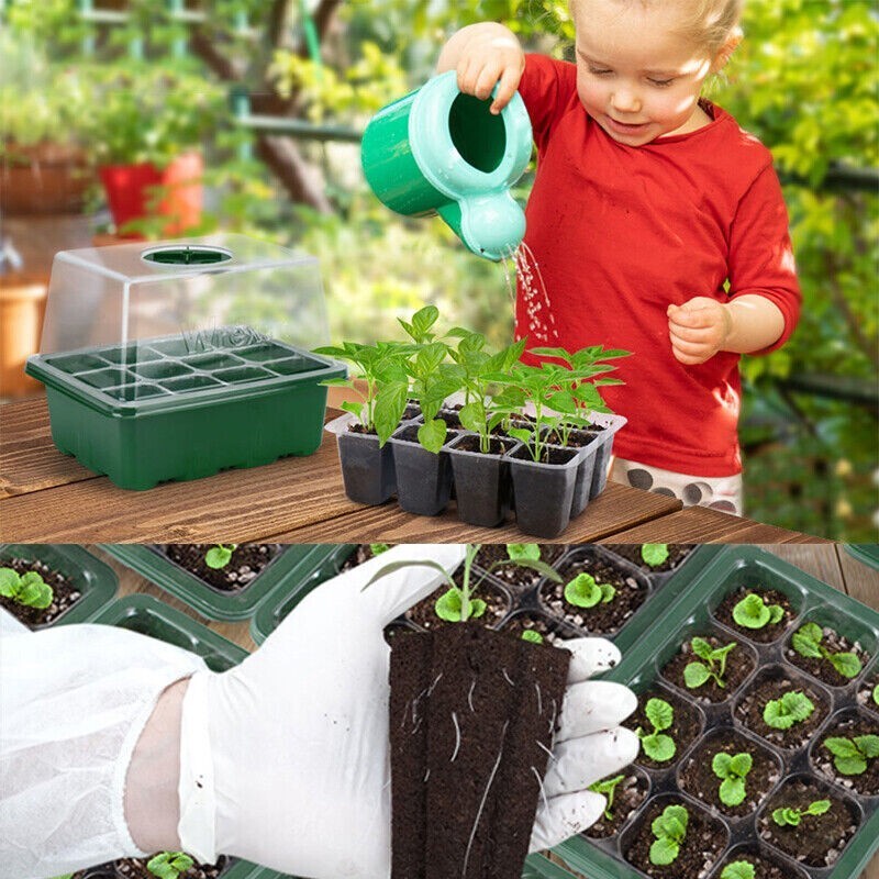 6pcs 12 Cells Seedling Tray Propagator Growing Thicken Seedling Heightened Lids