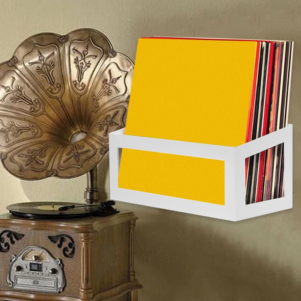 Vinyl Wall Mount Record Wall Storage White CD Display Hanging Record Holder