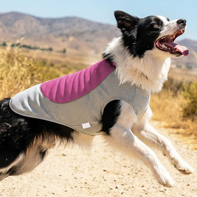 Dog Cooling Vest with Ice Pack Pocket Mesh Summer Pet Cooler Jacket for Pet Dogs