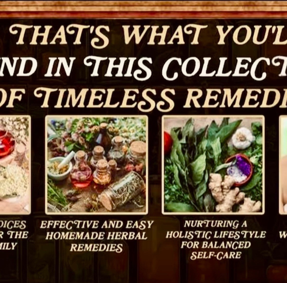 1000+ Herbal Remedies Holistic Health Guide The Holistic Home Apothecary Book