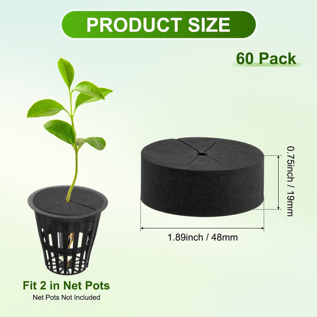 60-Pack Cloning Collars Inserts, Hydroponics Sponge Systems Cloning [Black]