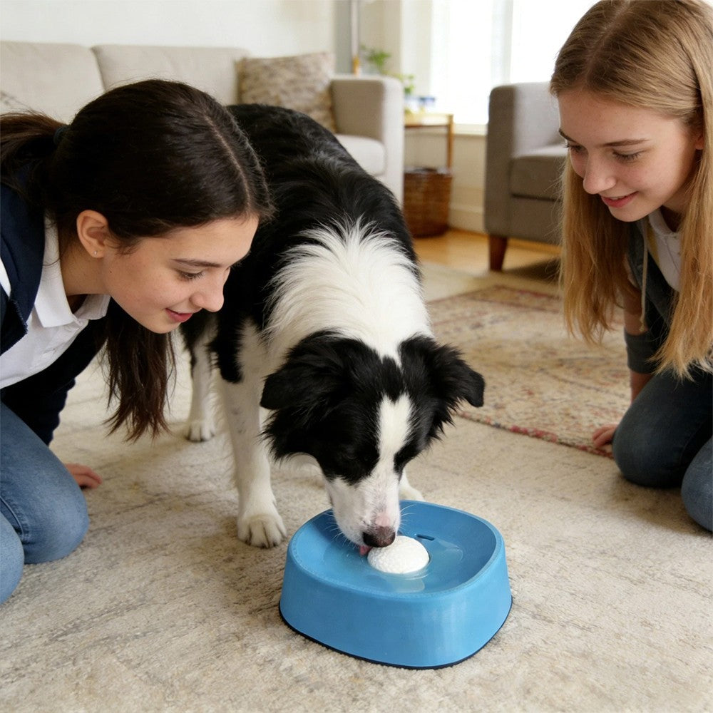 Pet Slow Feeding Lick Bowl Dog Entertainment Liquid Food Licking Play Ball Toy