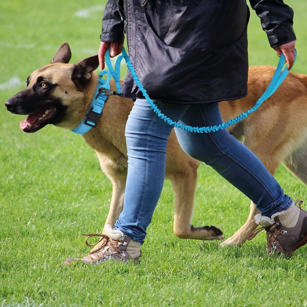 Tactical Dog Collar and Lead with Handle Training Large Dogs Bungee Rope Pitbull