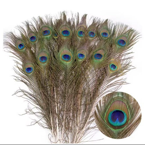 10PCS Real Peacock Feather 25-30cm