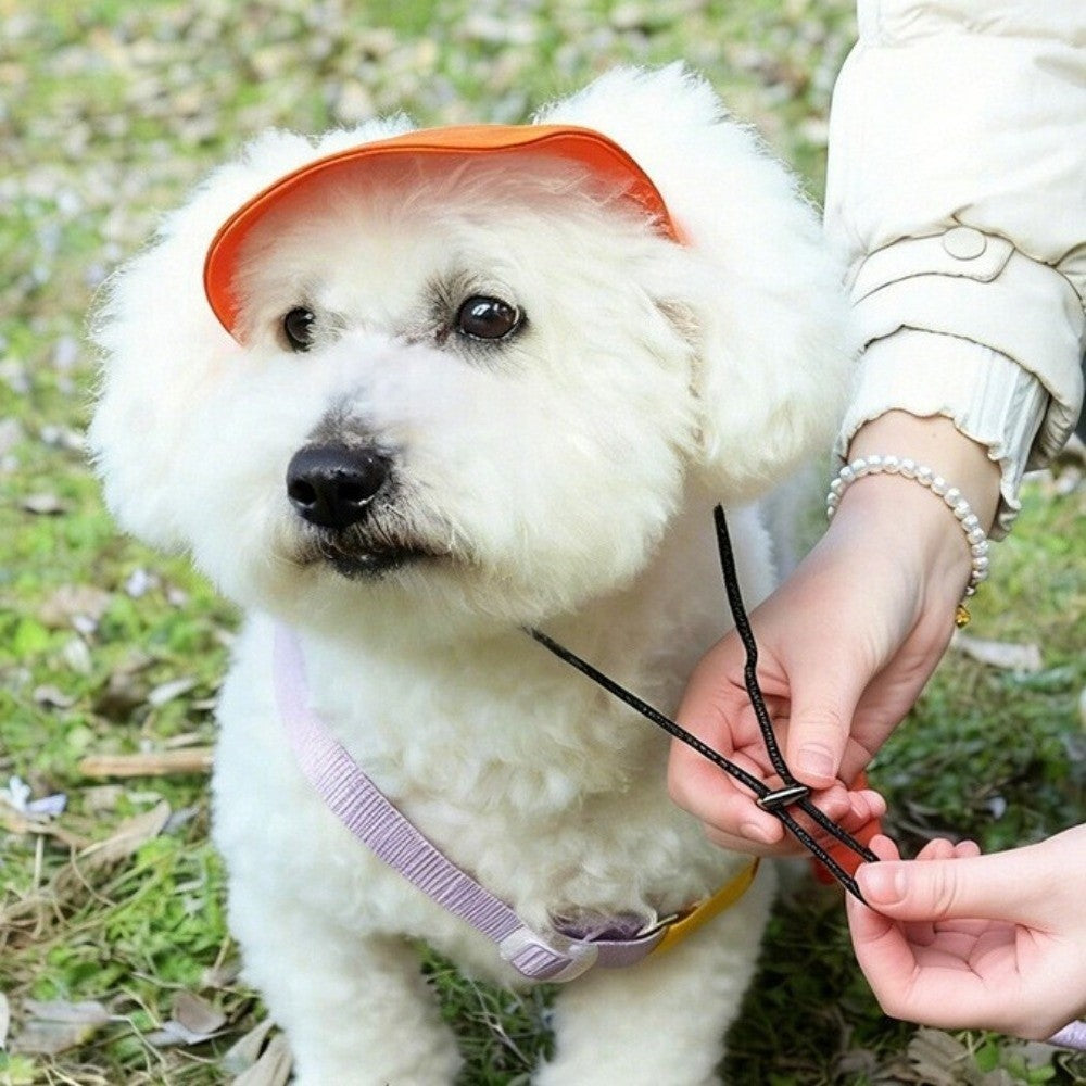 Cotton Cat Sunscreen Hat With Ear Holes Pet Sun Cap Dog Baseball Hat  Travel