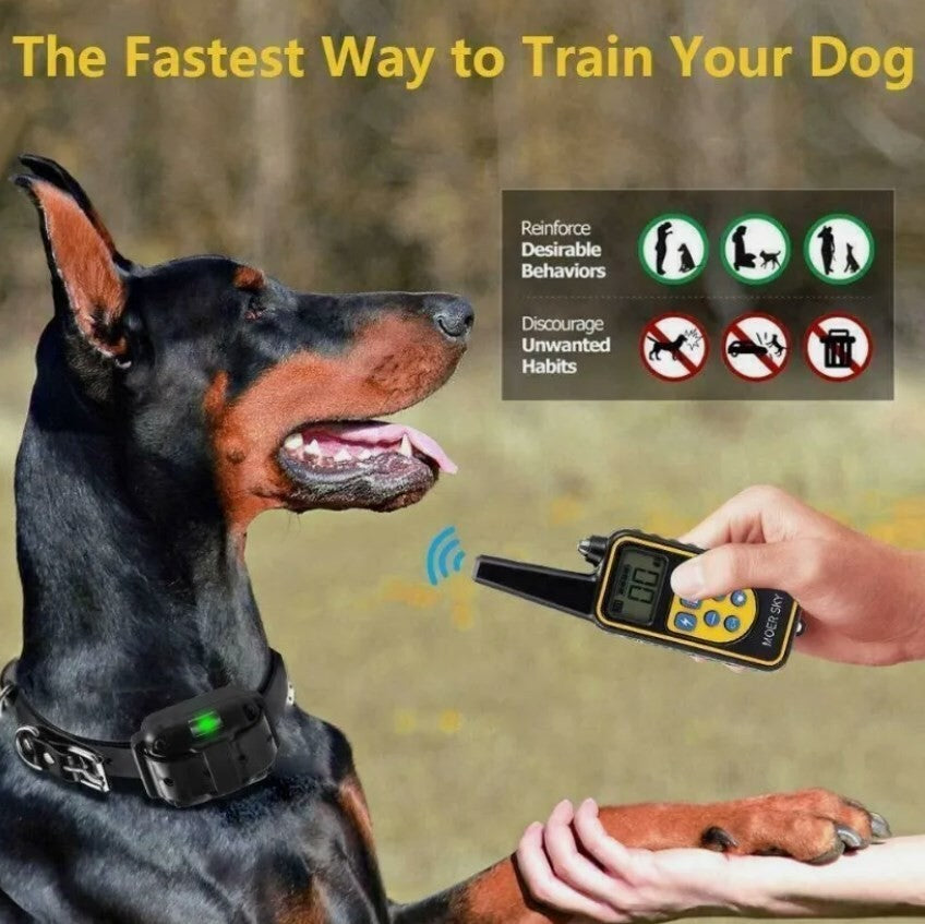 800m Remote-Controlled Electric Dog Training Collar with LCD Display