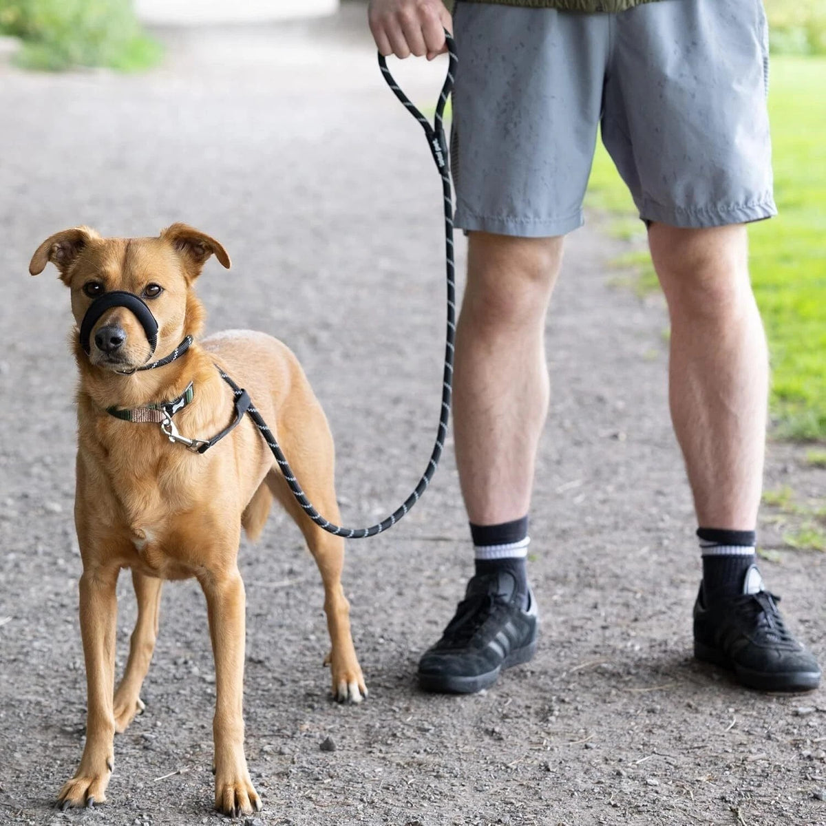 Figure of 8 Dog Lead With Padded Nose Loop-Anti Pull Dog Lead Stop Dog's Pulling