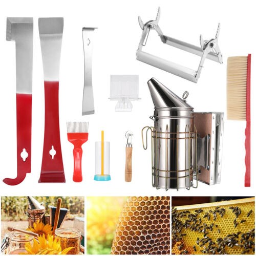 10 Pcs Beekeeping Tool Kit Beekeeping Equipment Beehive Tool !