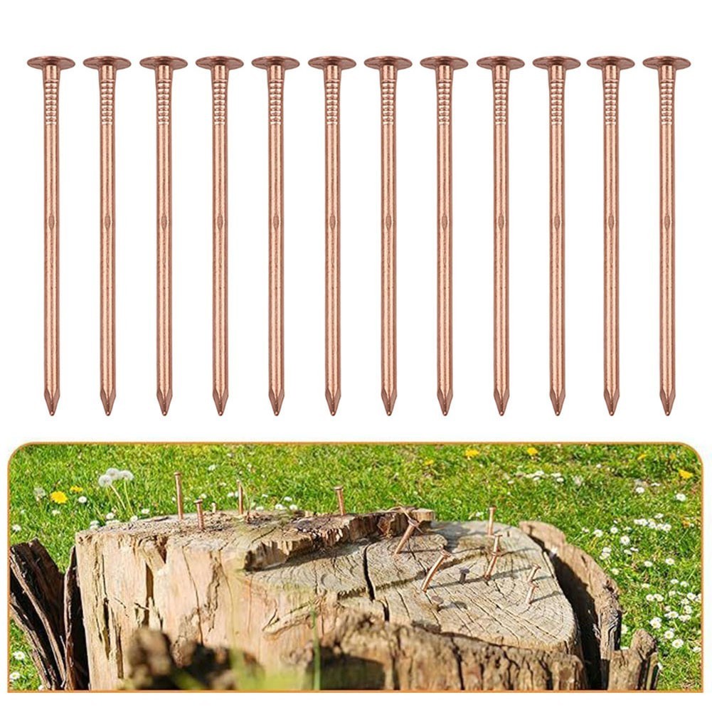 Copper Nails for Tree Stump Root For Killing 4 Inch Solid Copper Spikes