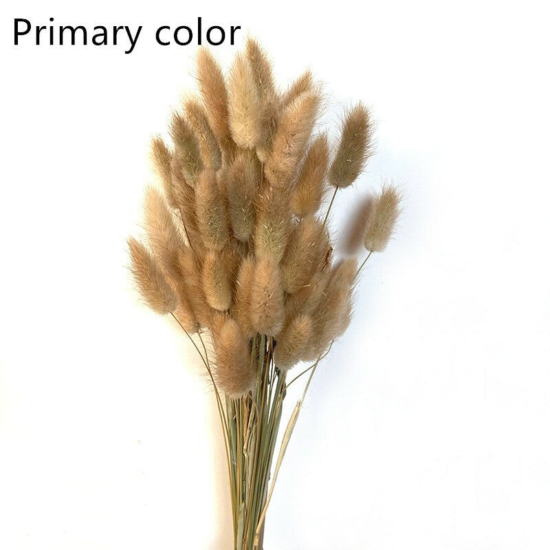 Dried Pampas Grass Decor ,Tall-Faux Bunny Tails Dried Flower Bouquet 50 Pcs