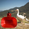 Large Automatic Cup Water Feeder Duck Geese Poultry Chook Bird Water Dispenser