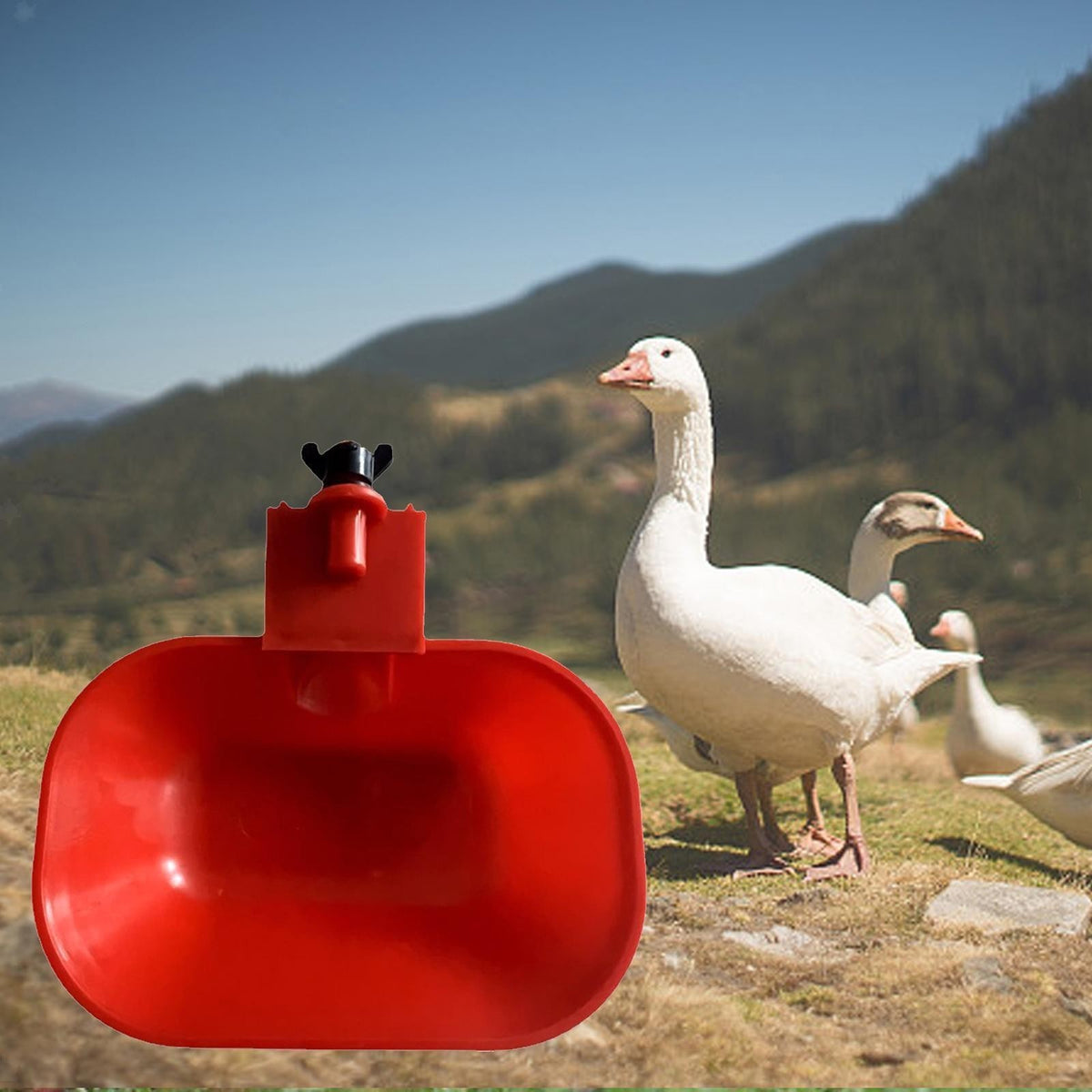 Large Automatic Cup Water Feeder Duck Geese Poultry Chook Bird Water Dispenser