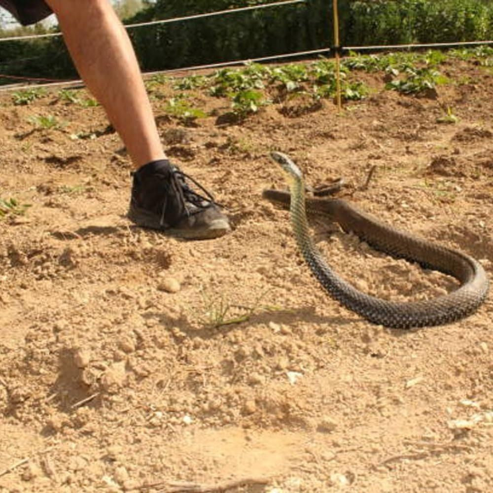 Realistic Snake Prank Toy w/String & Clip Chasing Snake Prank That Chase People
