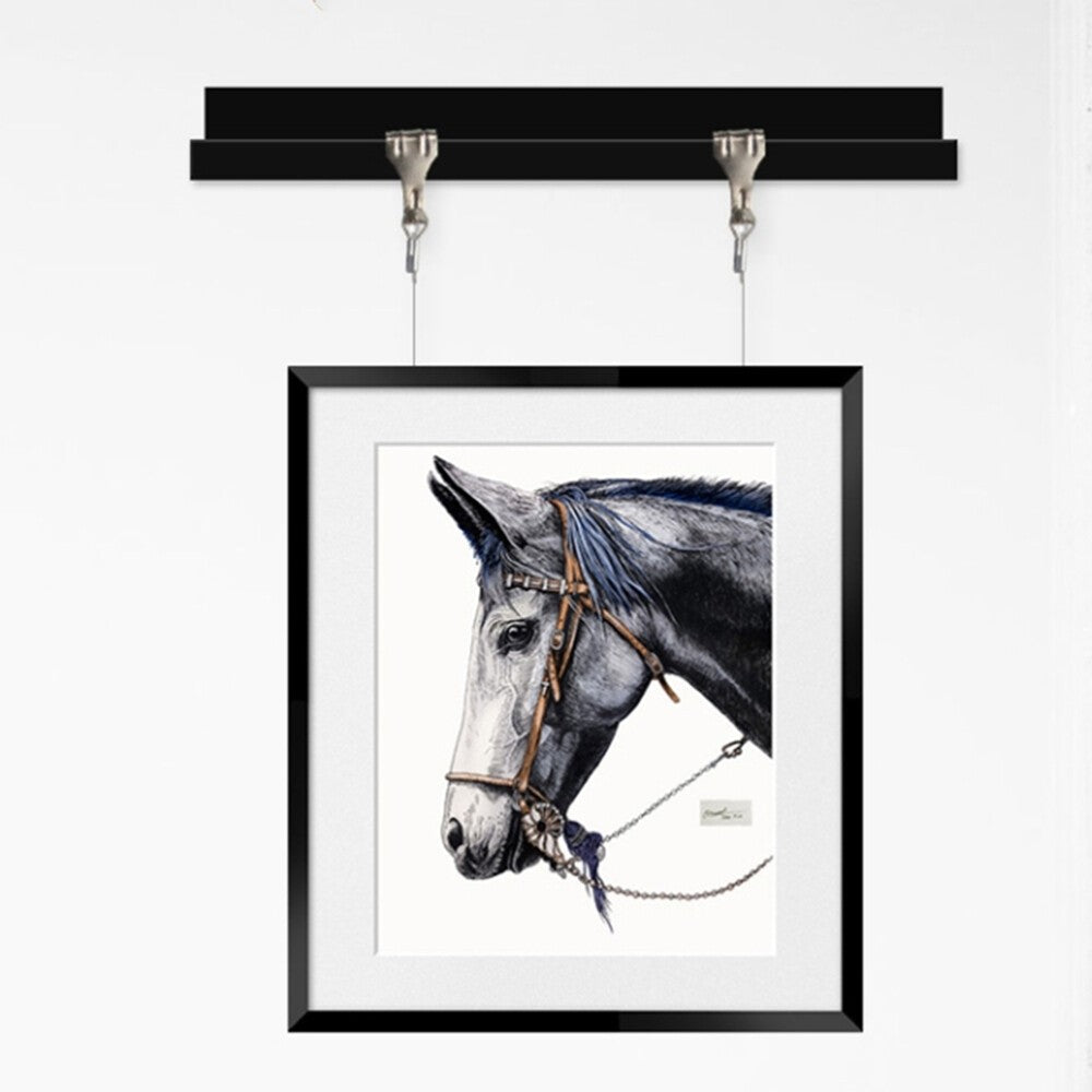 10 Sets Frames Display Kit Heavy Duty Picture Rail Hooks Painting Hanging Kit