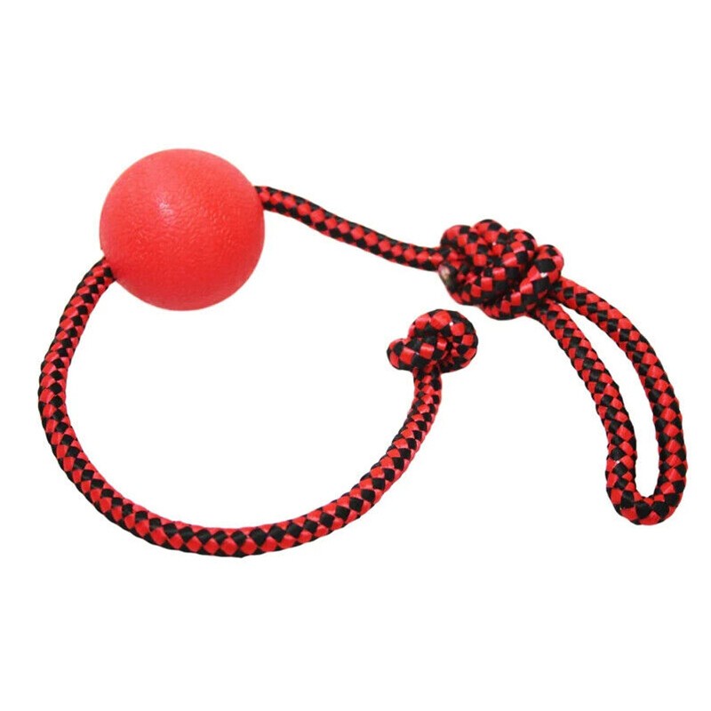 2x Indestructible Dog Ball on Rope Puppy Chew Toy Training Dog Theeth Cleaning