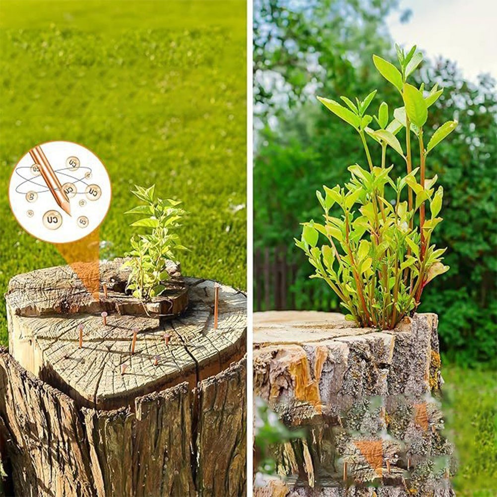 Copper Nails for Tree Stump Root For Killing 4 Inch Solid Copper Spikes