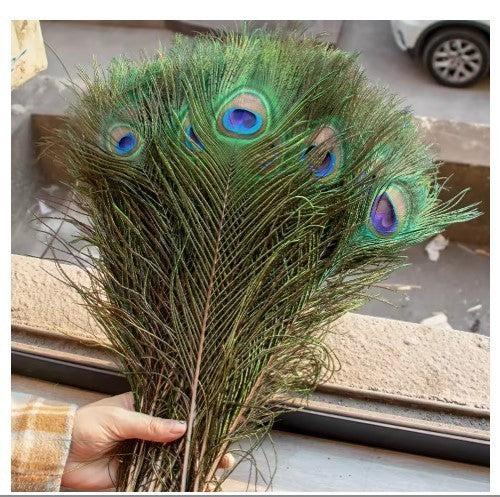 10PCS Real Peacock Feather 25-30cm