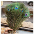 10PCS Real Peacock Feather 25-30cm