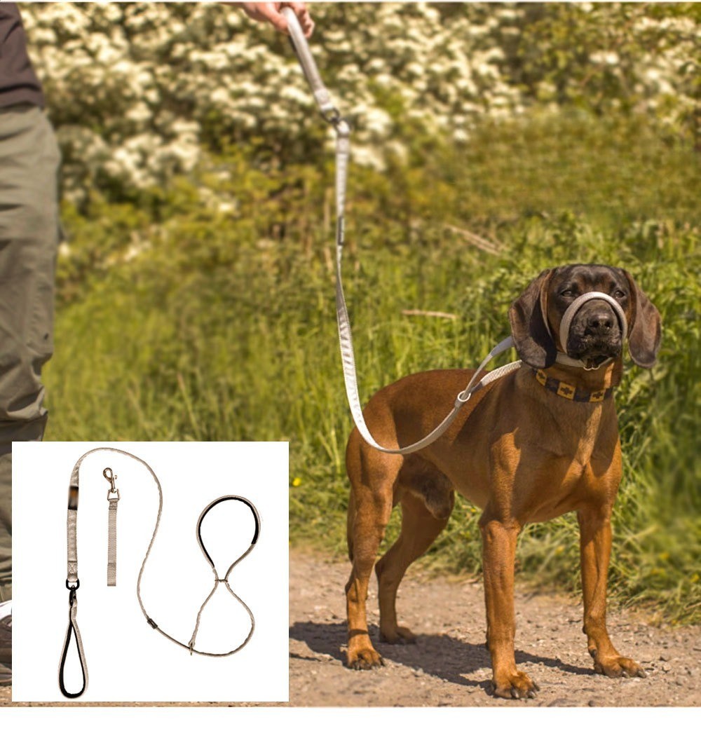 Pet Swivel Flat Figure of 8 Lead  Anti Pulling Dog Lead Leash - 200cm UK