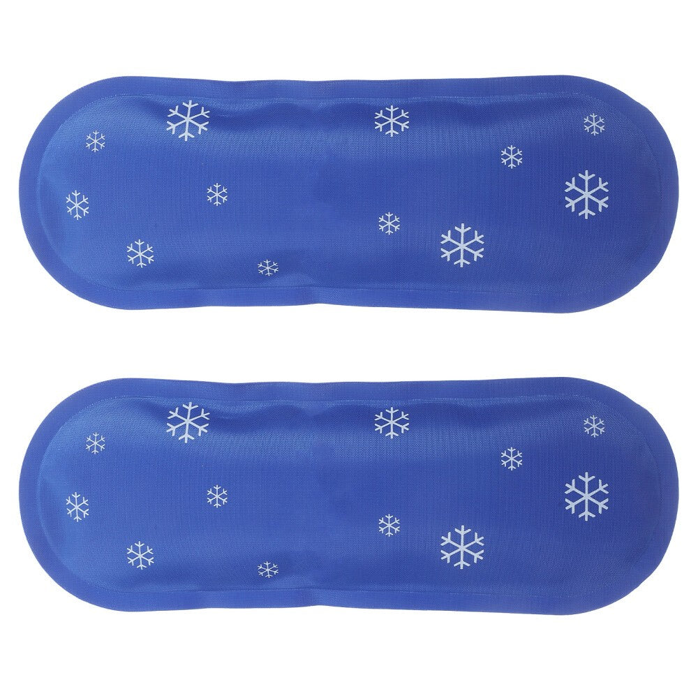 2 Pcs Refrigerated Ice Pack Lengke Cooler Bags Insulated Travel